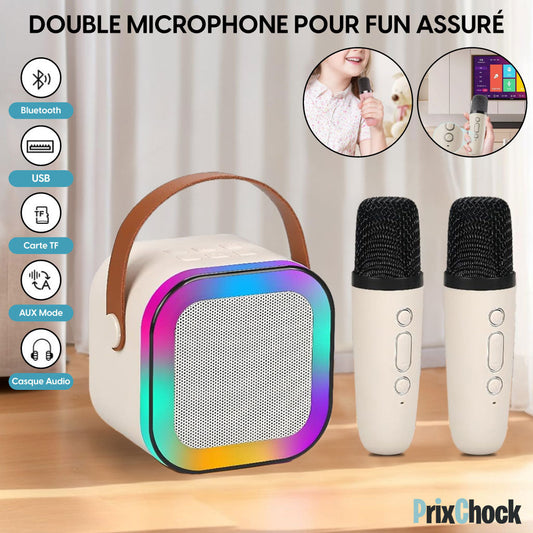 Mini-haut-parleur Portable Karaoké : Musique Et Amusement À Emporter Avec Deux Microphones