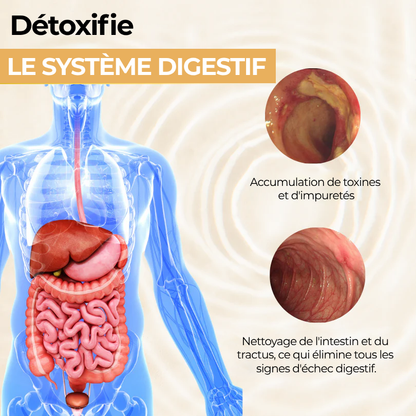 Huile pour le soulagement de la digestion CalmBelly™